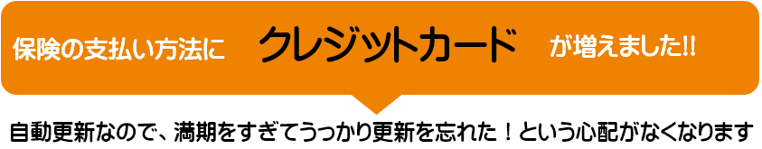 保険の支払い方法にクレジットカードが増えました！！